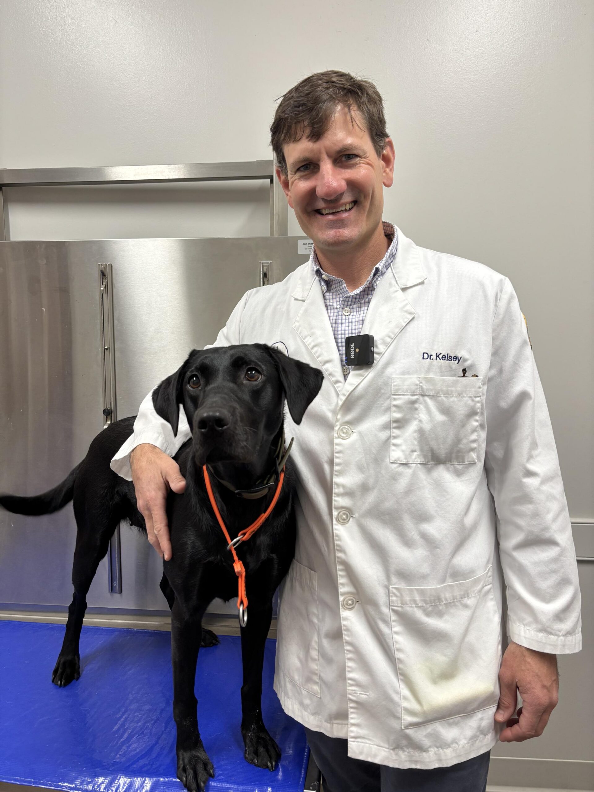 Kelsey Canine Medical Center Team